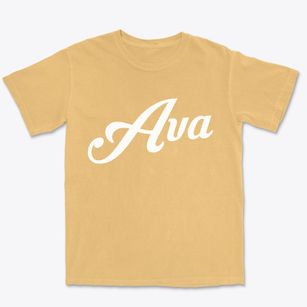 Ava Missouri Vintage Team Premium Heavyweight T-shirt