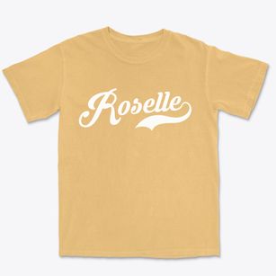 Roselle New Jersey Vintage Team Premium Heavyweight T-shirt