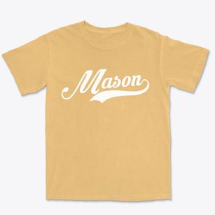 Mason Illinois Vintage Team Premium Heavyweight T-shirt