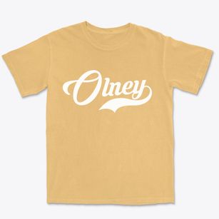 Olney Illinois Vintage Team Premium Heavyweight T-shirt