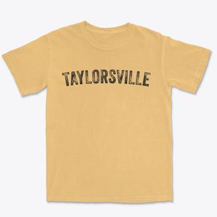 Taylorsville Utah Timeless Retro Premium Heavyweight T-shirt