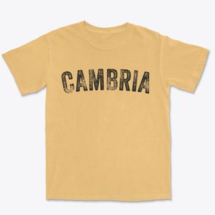 Cambria New York Timeless Retro Premium Heavyweight T-shirt