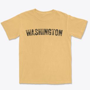 Washington New York Timeless Retro Premium Heavyweight T-shirt