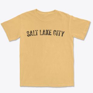 Salt Lake City Utah Timeless Retro Premium Heavyweight T-shirt