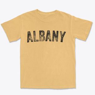 Albany Oregon Timeless Retro Premium Heavyweight T-shirt