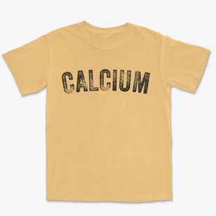 Calcium New York Timeless Retro Premium Heavyweight T-shirt