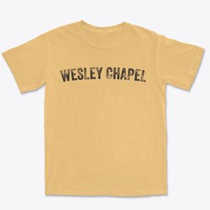 Wesley Chapel Florida Timeless Retro Premium Heavyweight T-shirt