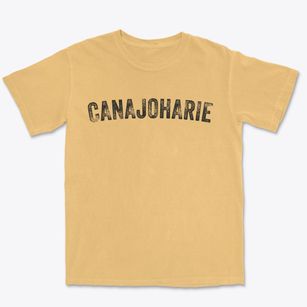 Canajoharie New York Timeless Retro Premium Heavyweight T-shirt