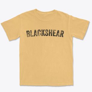 Blackshear Georgia Timeless Retro Premium Heavyweight T-shirt