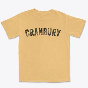 Cranbury New Jersey Timeless Retro Premium Heavyweight T-shirt