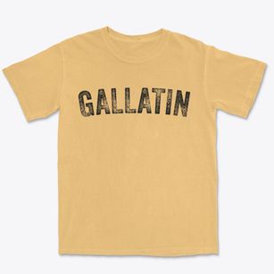 Gallatin Missouri Timeless Retro Premium Heavyweight T-shirt