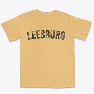 Leesburg Ohio Timeless Retro Premium Heavyweight T-shirt