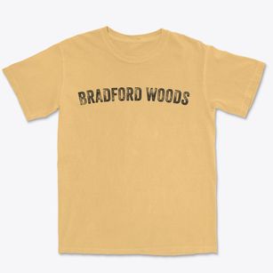 Bradford Woods Pennsylvania Timeless Retro Premium Heavyweight T-shirt