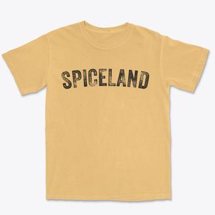 Spiceland Indiana Timeless Retro Premium Heavyweight T-shirt