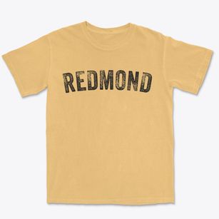 Redmond Utah Timeless Retro Premium Heavyweight T-shirt
