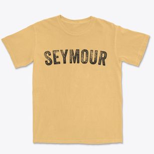 Seymour Indiana Timeless Retro Premium Heavyweight T-shirt
