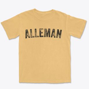Alleman Iowa Timeless Retro Premium Heavyweight T-shirt