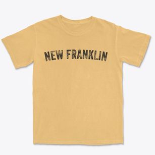 New Franklin Ohio Timeless Retro Premium Heavyweight T-shirt