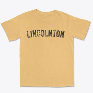 Lincolnton North Carolina Timeless Retro Premium Heavyweight T-shirt