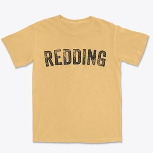 Redding Connecticut Timeless Retro Premium Heavyweight T-shirt