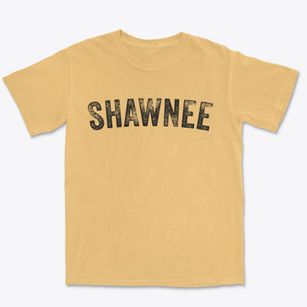 Shawnee Kansas Timeless Retro Premium Heavyweight T-shirt
