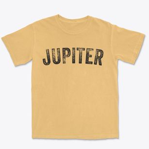 Jupiter Florida Timeless Retro Premium Heavyweight T-shirt