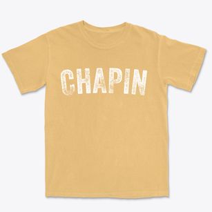 Chapin Illinois Timeless Retro Premium Heavyweight T-shirt