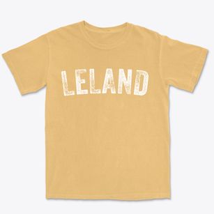 Leland North Carolina Timeless Retro Premium Heavyweight T-shirt