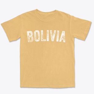 Bolivia North Carolina Timeless Retro Premium Heavyweight T-shirt