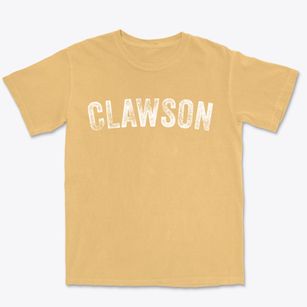 Clawson Michigan Timeless Retro Premium Heavyweight T-shirt