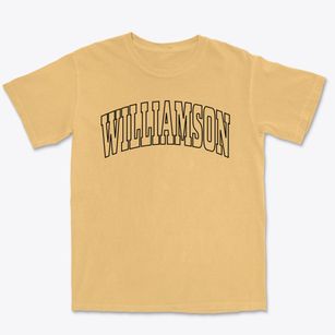 Williamson New York Trendy Block Premium Heavyweight T-shirt