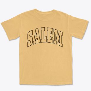 Salem Missouri Trendy Block Premium Heavyweight T-shirt