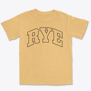 Rye New York Trendy Block Premium Heavyweight T-shirt