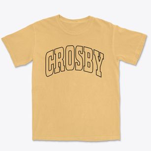 Crosby Texas Trendy Block Premium Heavyweight T-shirt