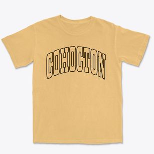 Cohocton New York Trendy Block Premium Heavyweight T-shirt