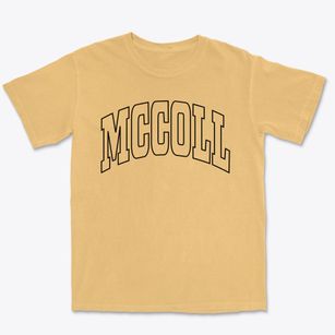 Mccoll South Carolina Trendy Block Premium Heavyweight T-shirt