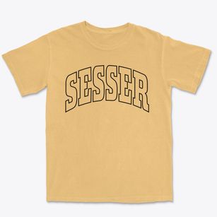 Sesser Illinois Trendy Block Premium Heavyweight T-shirt