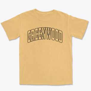 Greenwood Delaware Trendy Block Premium Heavyweight T-shirt