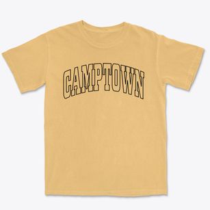 Camptown Virginia Trendy Block Premium Heavyweight T-shirt
