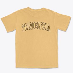 Triadelphia West Virginia Trendy Block Premium Heavyweight T-shirt