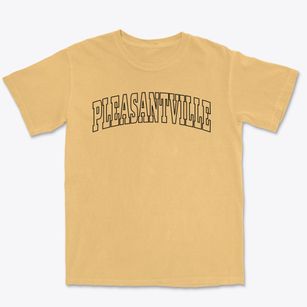 Pleasantville New Jersey Trendy Block Premium Heavyweight T-shirt