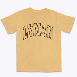 Lyman New Hampshire Trendy Block Premium Heavyweight T-shirt