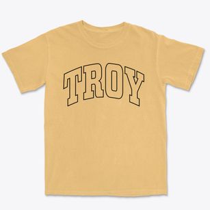 Troy Alabama Trendy Block Premium Heavyweight T-shirt