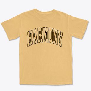 Harmony New Jersey Trendy Block Premium Heavyweight T-shirt