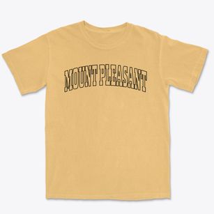 Mount Pleasant Texas Trendy Block Premium Heavyweight T-shirt