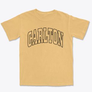 Carlton Georgia Trendy Block Premium Heavyweight T-shirt