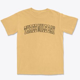 Three Mile Bay New York Trendy Block Premium Heavyweight T-shirt