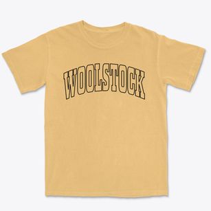 Woolstock Iowa Trendy Block Premium Heavyweight T-shirt