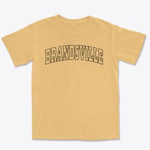 Brandsville Missouri Trendy Block Premium Heavyweight T-shirt