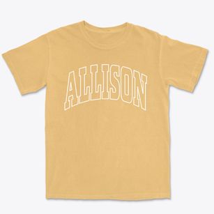 Allison Pennsylvania Trendy Block Premium Heavyweight T-shirt